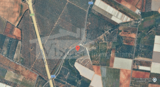 Terreno agricolo 1,6 ha