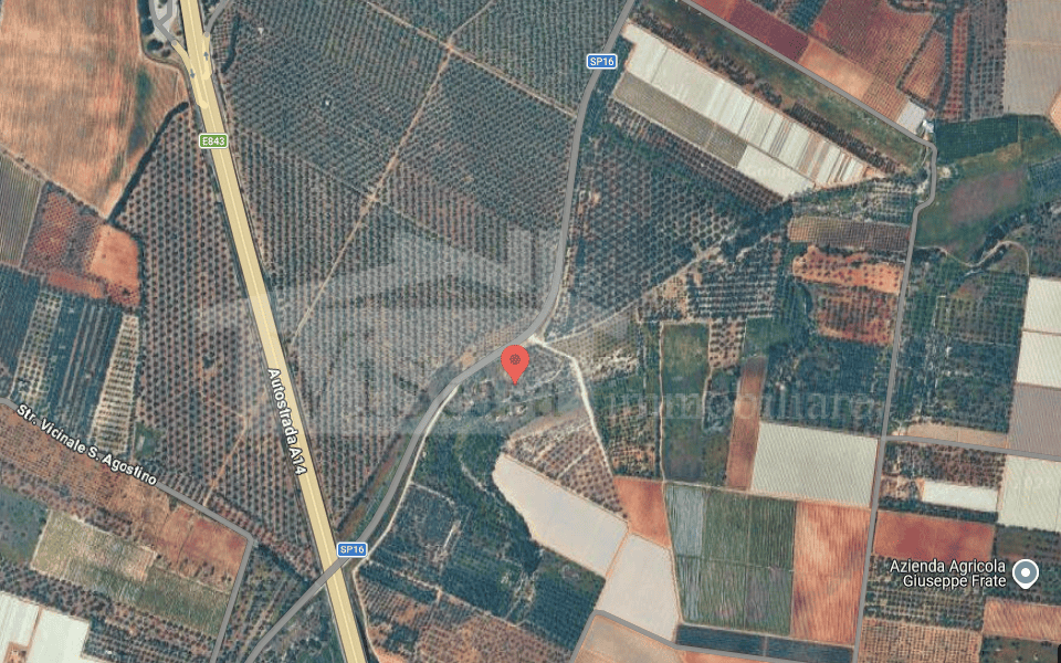 Terreno agricolo 1,6 ha