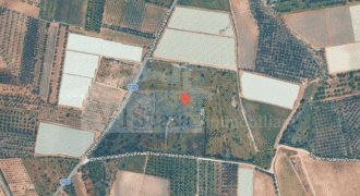 Terreno 7,5 ha